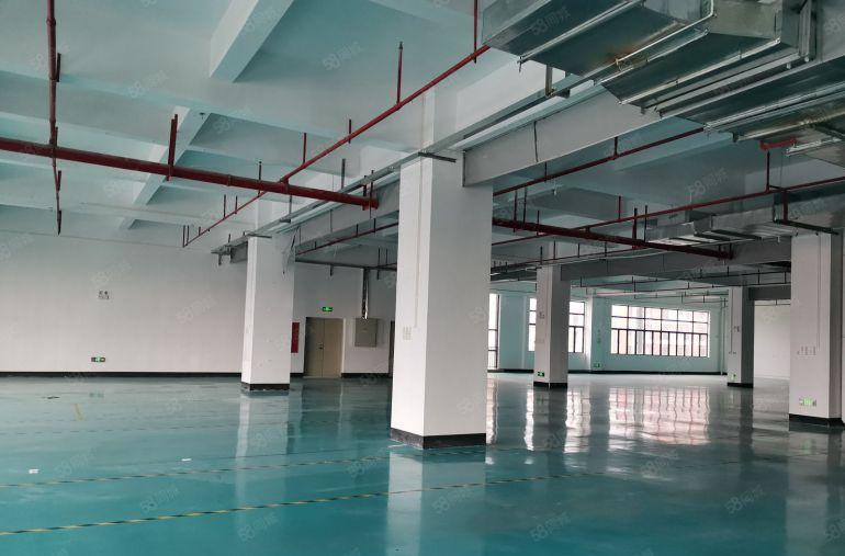 博罗龙溪厂房出租，标准厂房，证件齐全，配套齐全，5吨电梯。