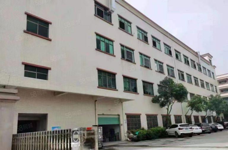 园洲镇独院原房东标准厂房4000平米出租，宿舍配套齐全