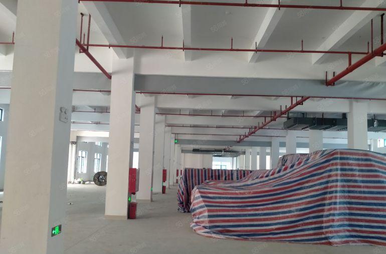 500平方起分园洲工业区9元起租证件齐全可办环评可仓库可生产