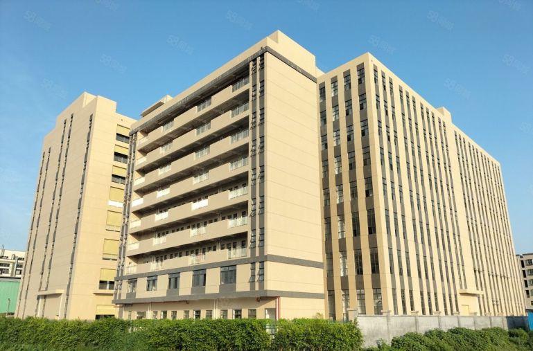 园洲原房东重工业标准厂房招租10块钱1000平起分租