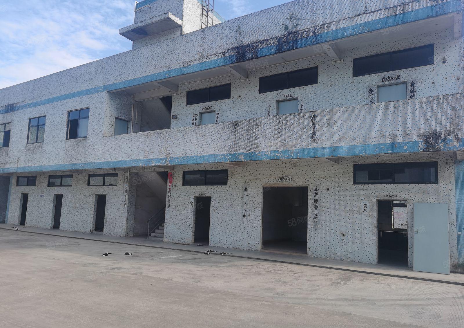 博罗石湾2000独门独院钢构厂房仓库出租大空地可办环评原房东