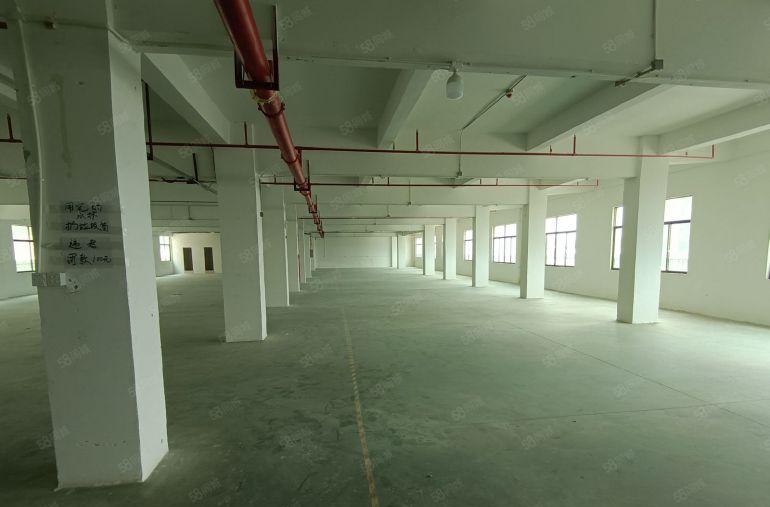 全新标准厂房三楼，带隔好的办公室，带消防喷淋！客货梯各一部！