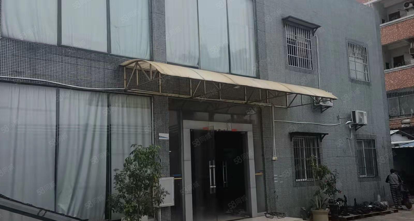 石湾镇2000独院厂房出租500起分租