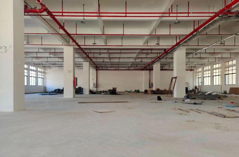 厂房出租仓库出租独门独院惠州市博罗罗阳镇原房东标准厂房可分租