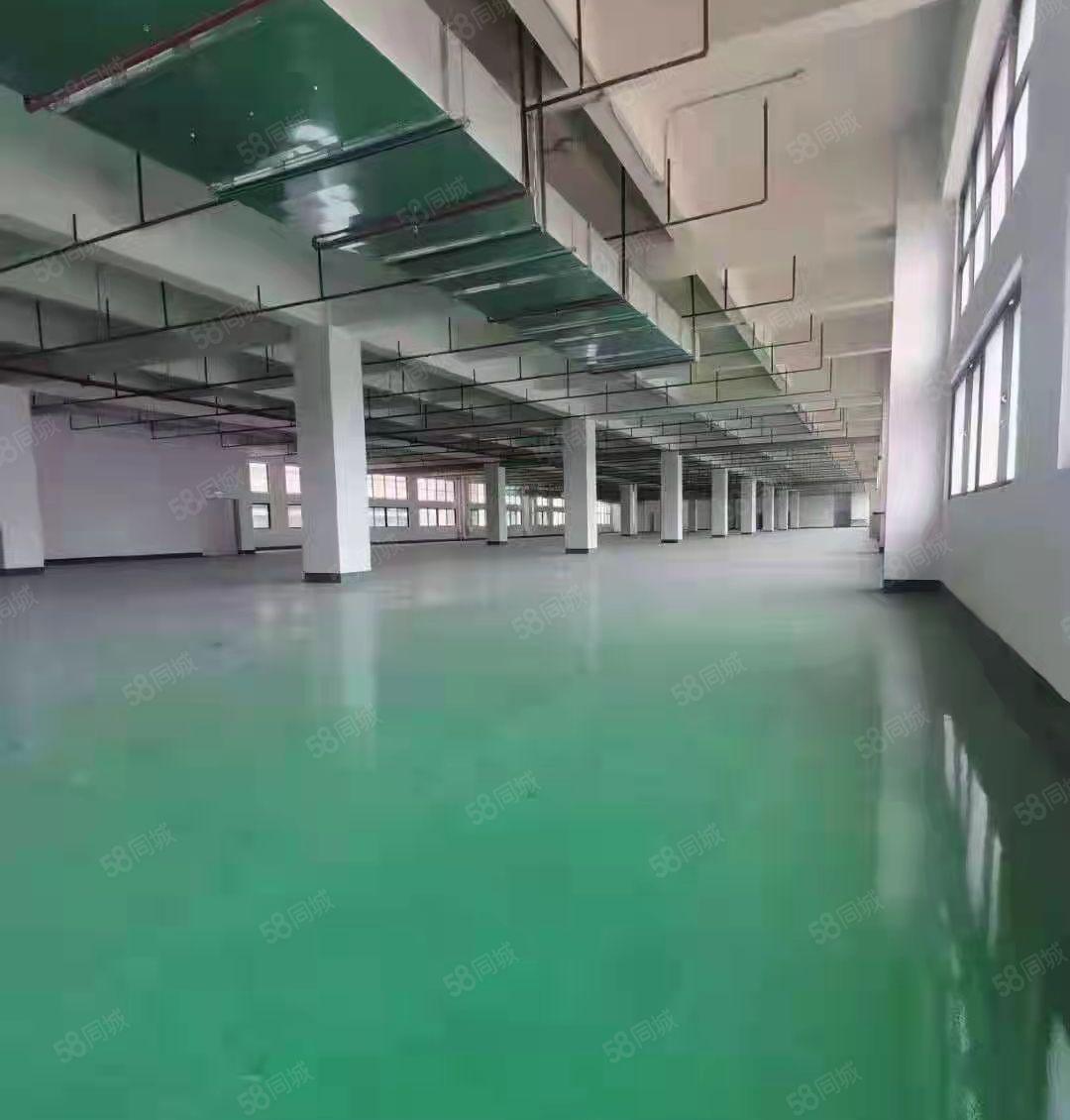 龙溪镇花园式厂房酒店商铺招租