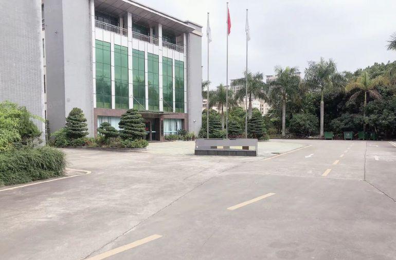 园洲新出独院，带装修，主线到位，可分租，空地大厂房仓库出租