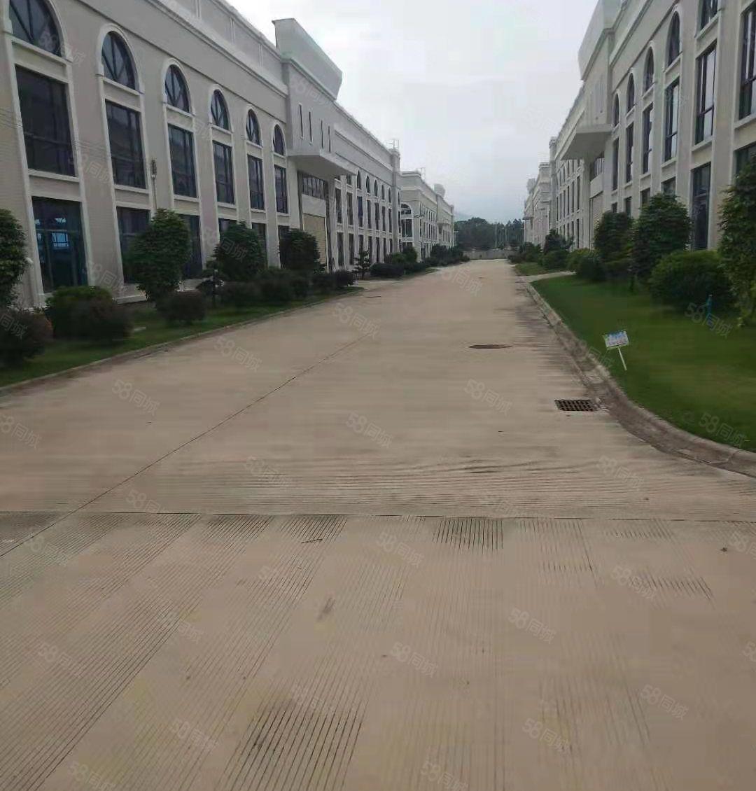 博罗全新红本钢构独院厂房低价招租