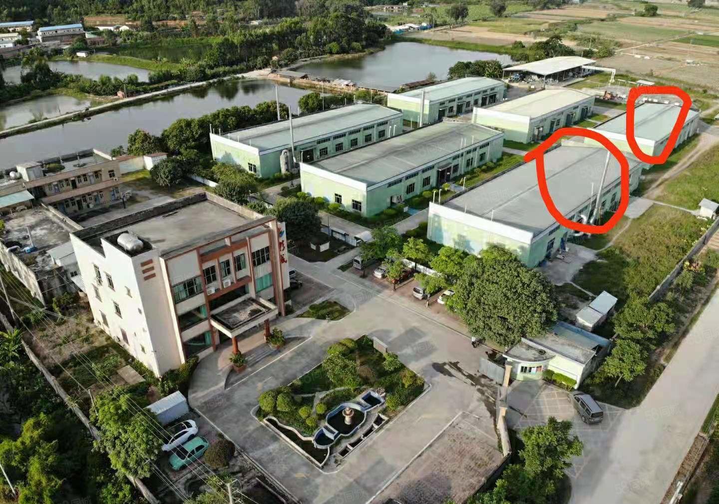 石湾镇化工厂房出租1500平方300平方起租