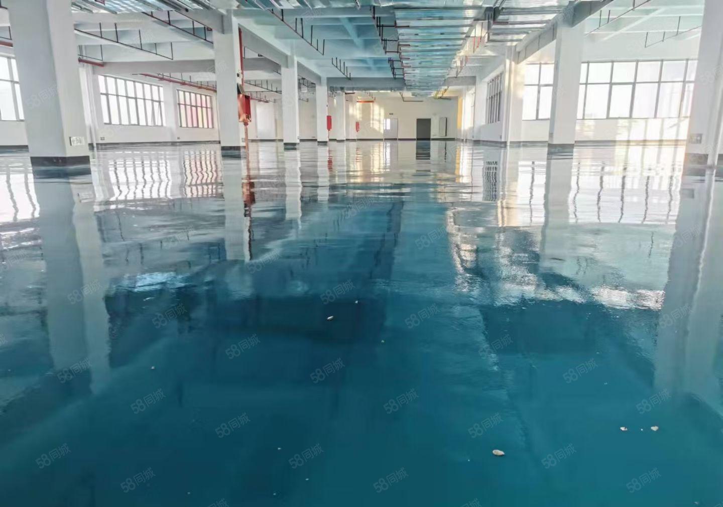 龙溪镇全新红本厂房出租