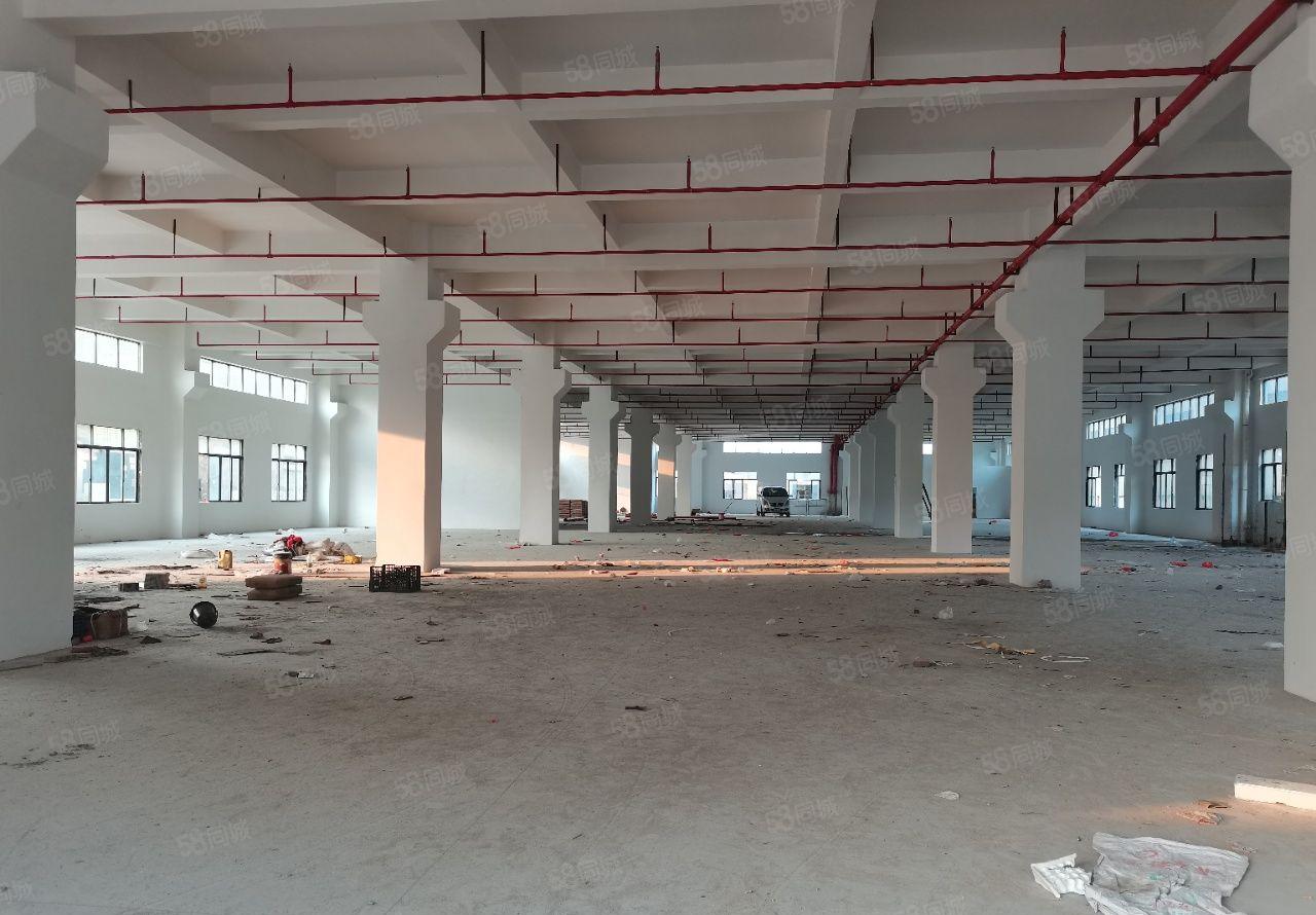 石湾镇新出全新超靓楼房现成塑胶喷油环评800平方起分租带牛角