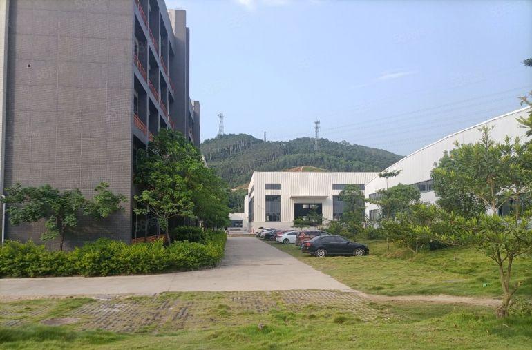 博罗急租新建10米钢构厂房（66000平方一大小可分租）