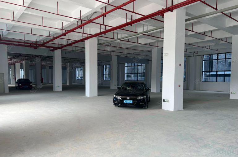 石湾科技园新出标准厂房出租4800平方独门独院带独立办公楼