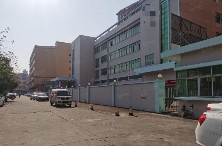 镇中心原房东现成装修标准独院厂房