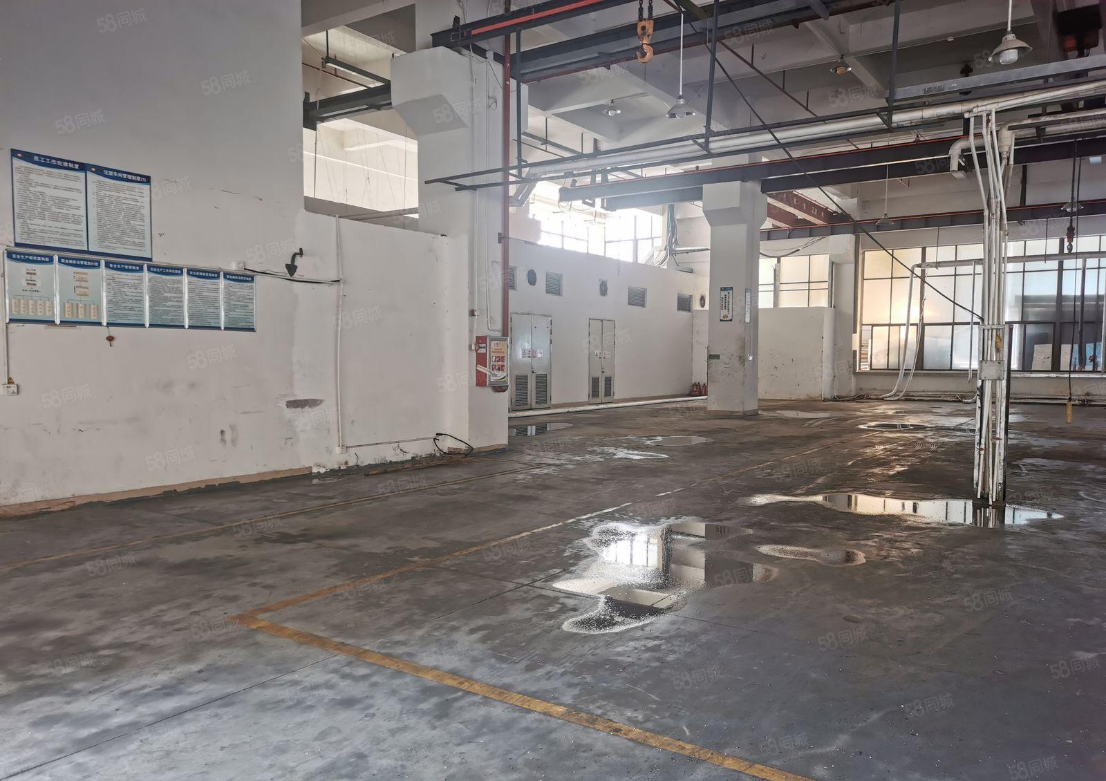 原房东1000平方独院厂房出租