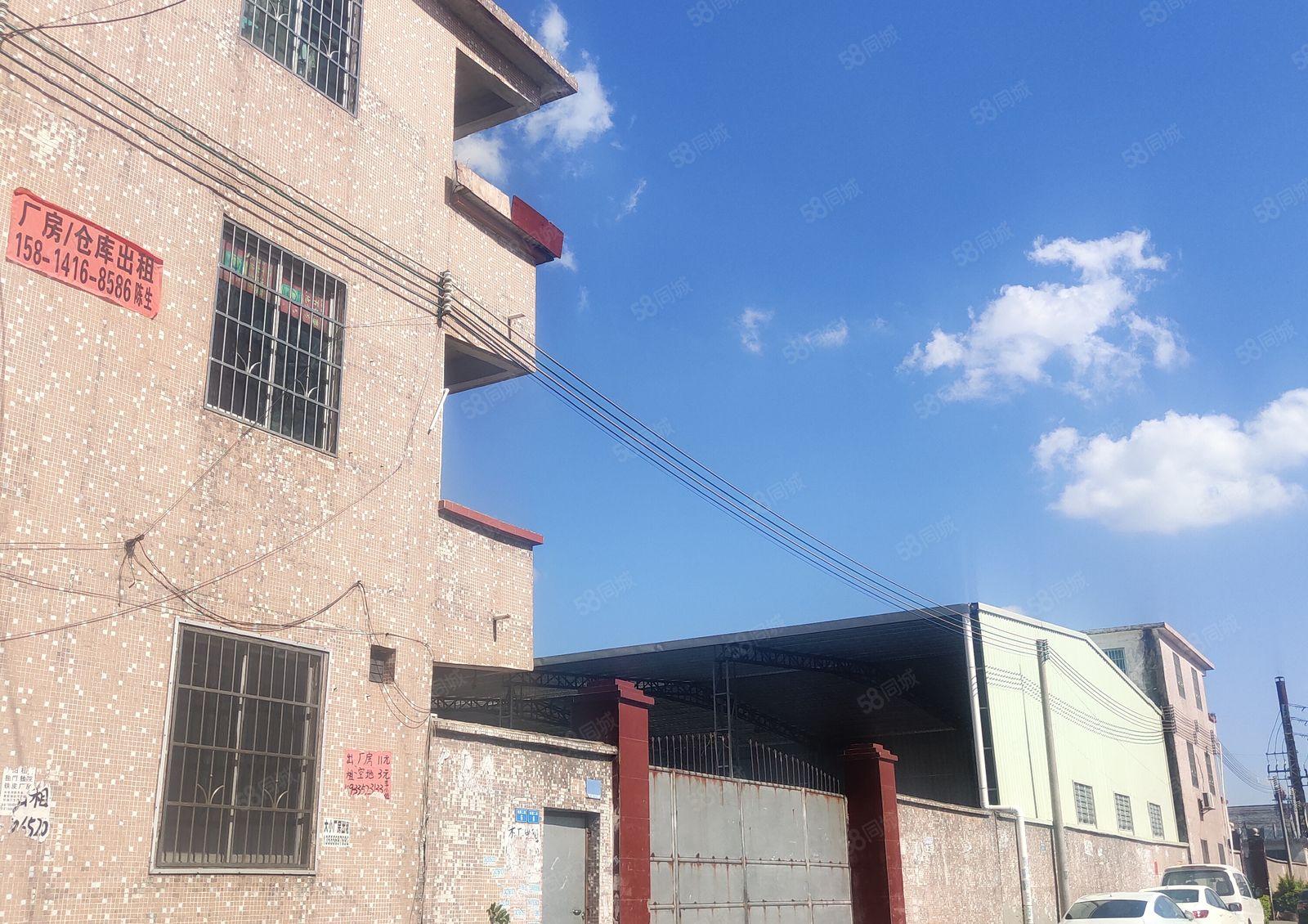 园洲镇原房东独院单一层2000厂房仓库出租出售转让