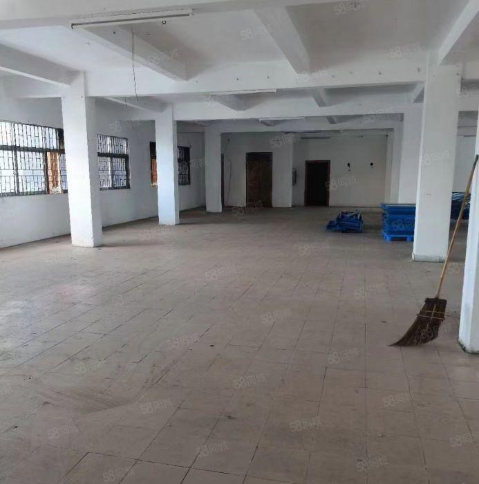 园洲新出原房东标准1400平厂房 实际面积无公摊 可办环评