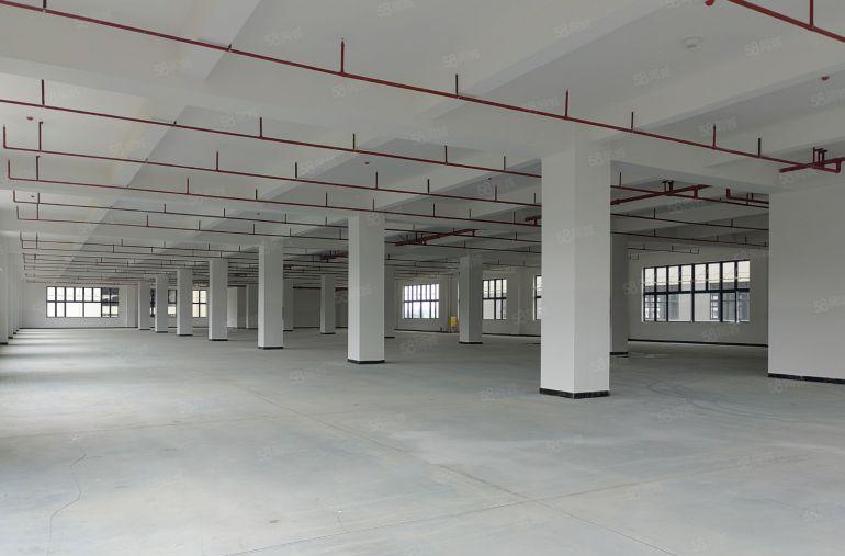 全新红本厂房低价出租！罗阳镇原房东15万平全新精装修厂房出租