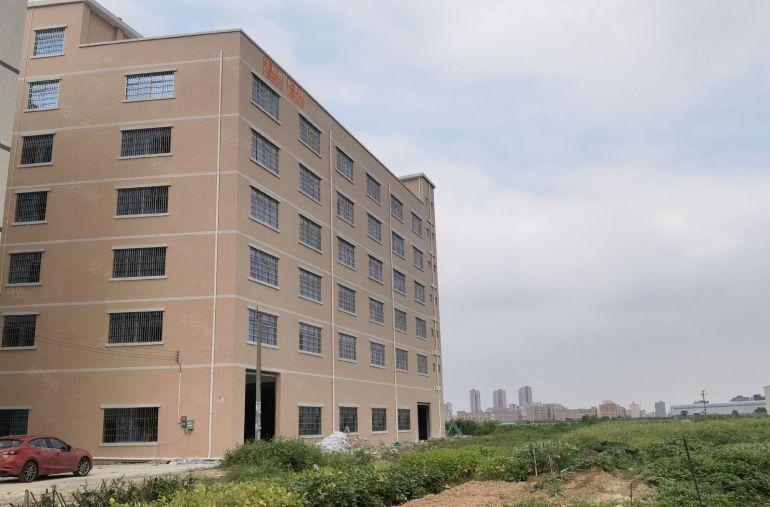 园洲镇原房东独全新标准厂房出租4900平