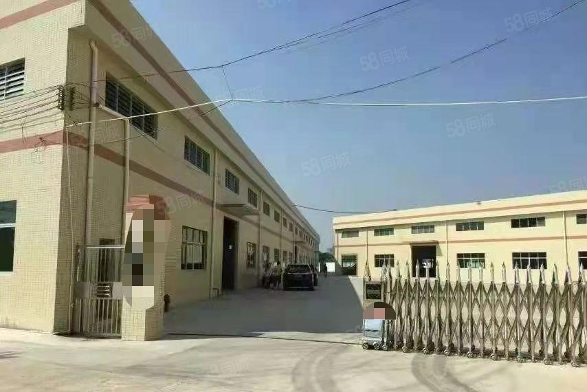 靓！钢构1000方，周边无民，格局方正，中间无柱子超实用