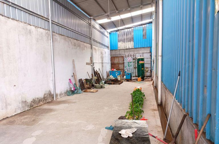 园洲镇新出一小钢构厂房