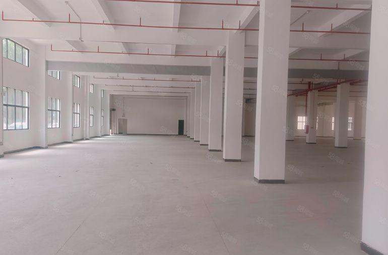 石湾原房东独院厂房低价出租40000平方，实际面积，证件齐全