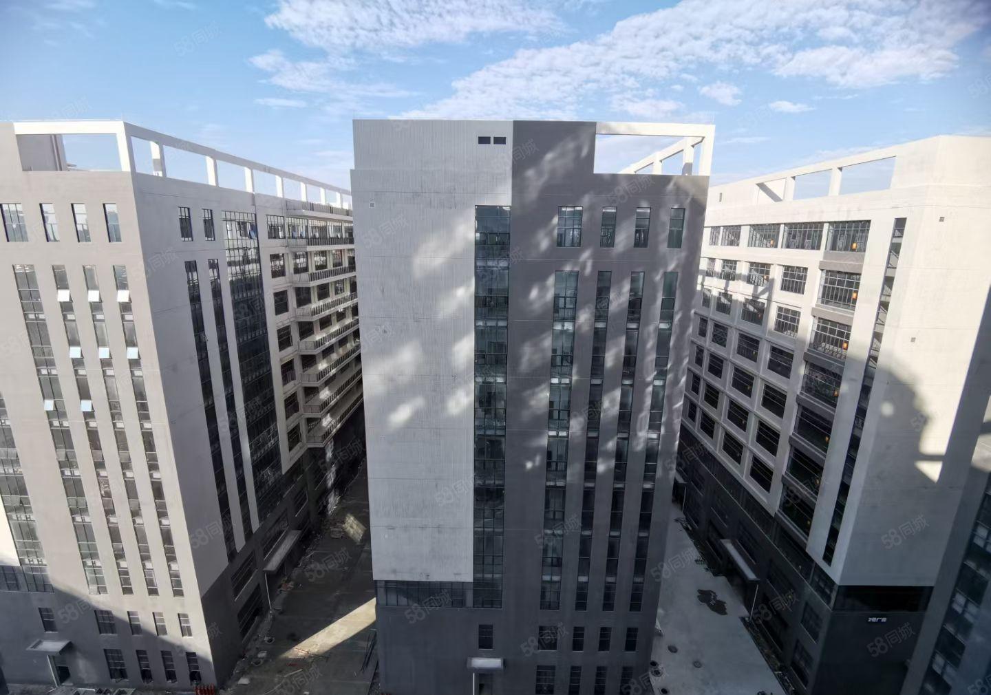 龙溪镇全新红本厂房出租