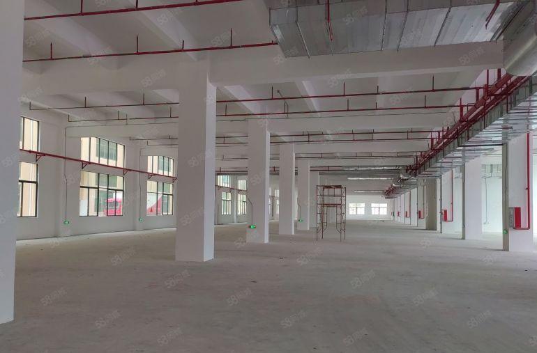 厂房出租带喷油环评！可隔独院！承重2吨！博罗罗阳厂房9万平租