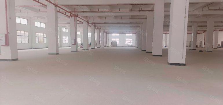 石湾镇原房东标准楼房出租分租1000方大空地免费全新红本厂房