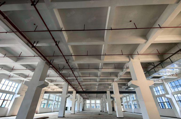 博罗镇罗阳镇原房东工业园出租，单层面积2500平方，大小分租