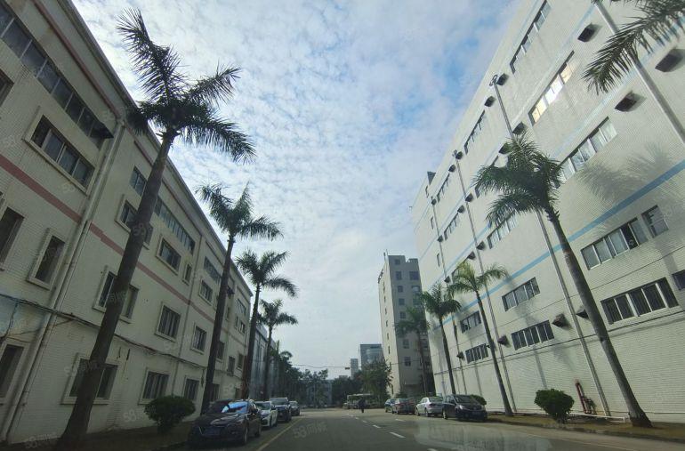 惠州石湾原房东厂房1000平带卸货平台靠高速可办环评实际面积