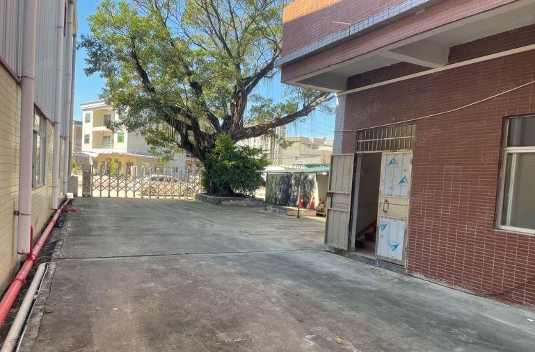 石湾新出独门独院钢结构厂房3000平方低价出租