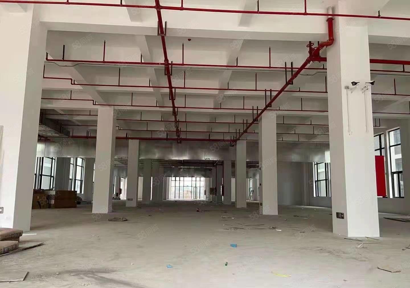 石湾镇独院原房东标准厂房9200平方，宿舍1200平方出租！