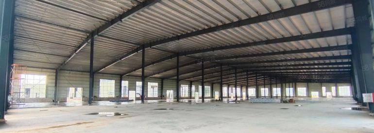 惠东11米钢结构11500平方出租，1000平起分租