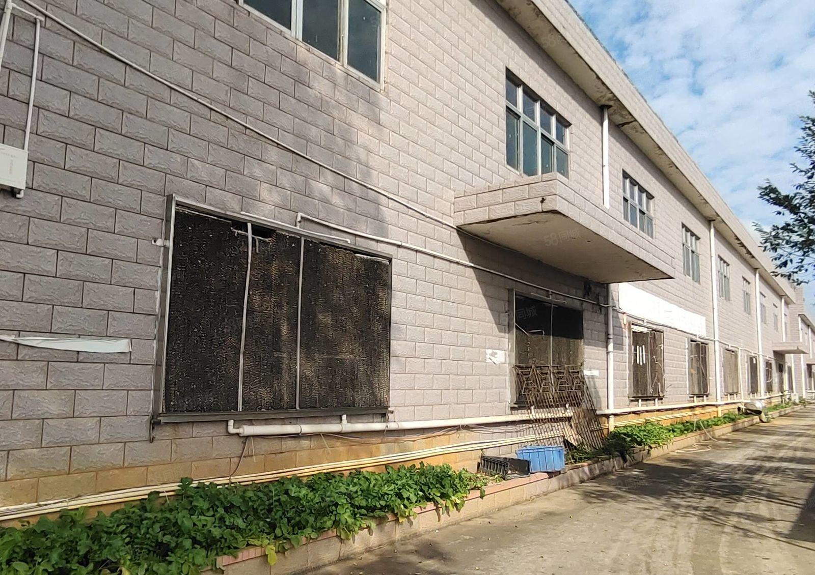 大岭工业区7米高单一层厂房3000平方，可以分租。