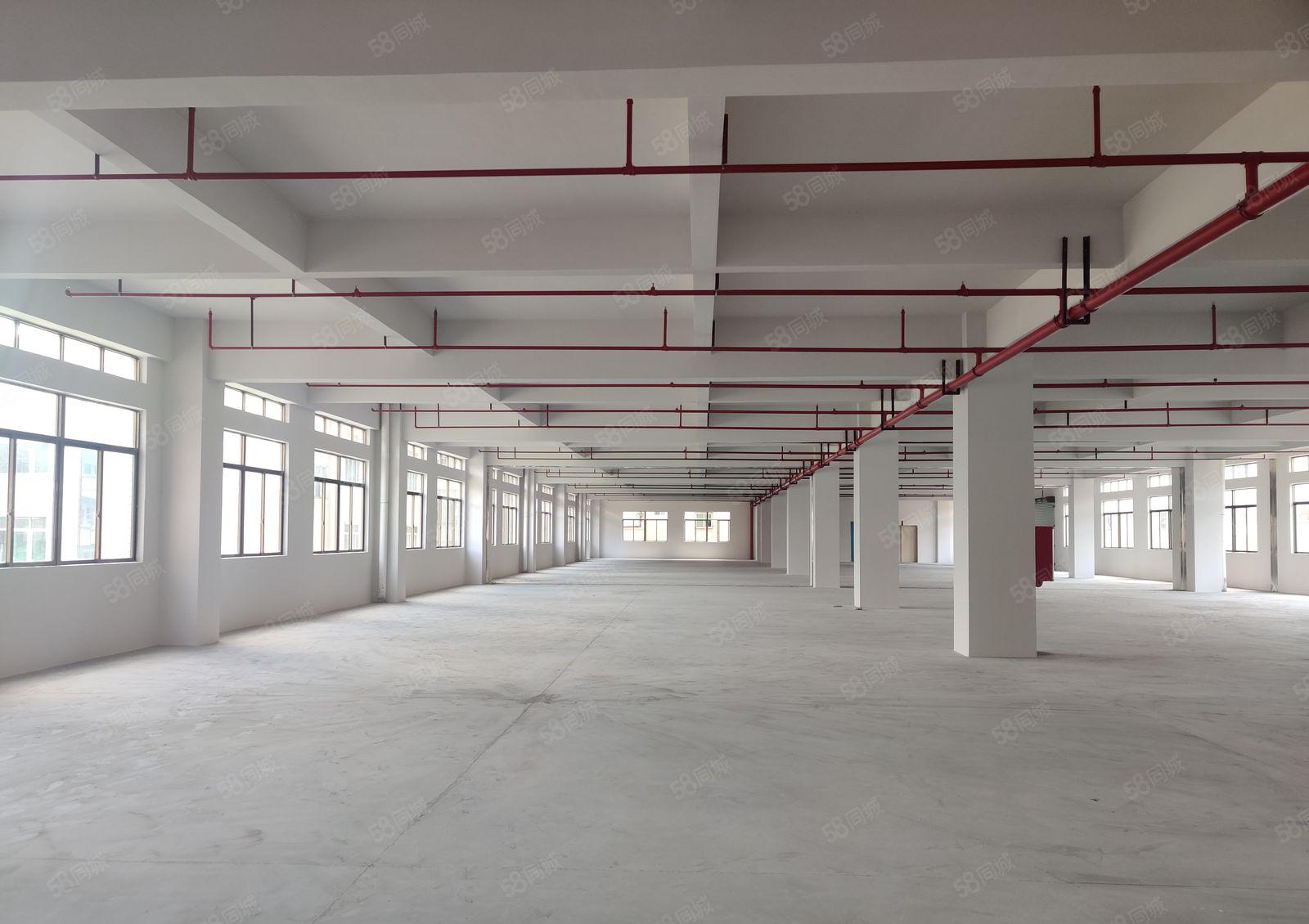 6元原房东惠东白花大岭无公摊厂房200平起租一楼仓库厂房出租