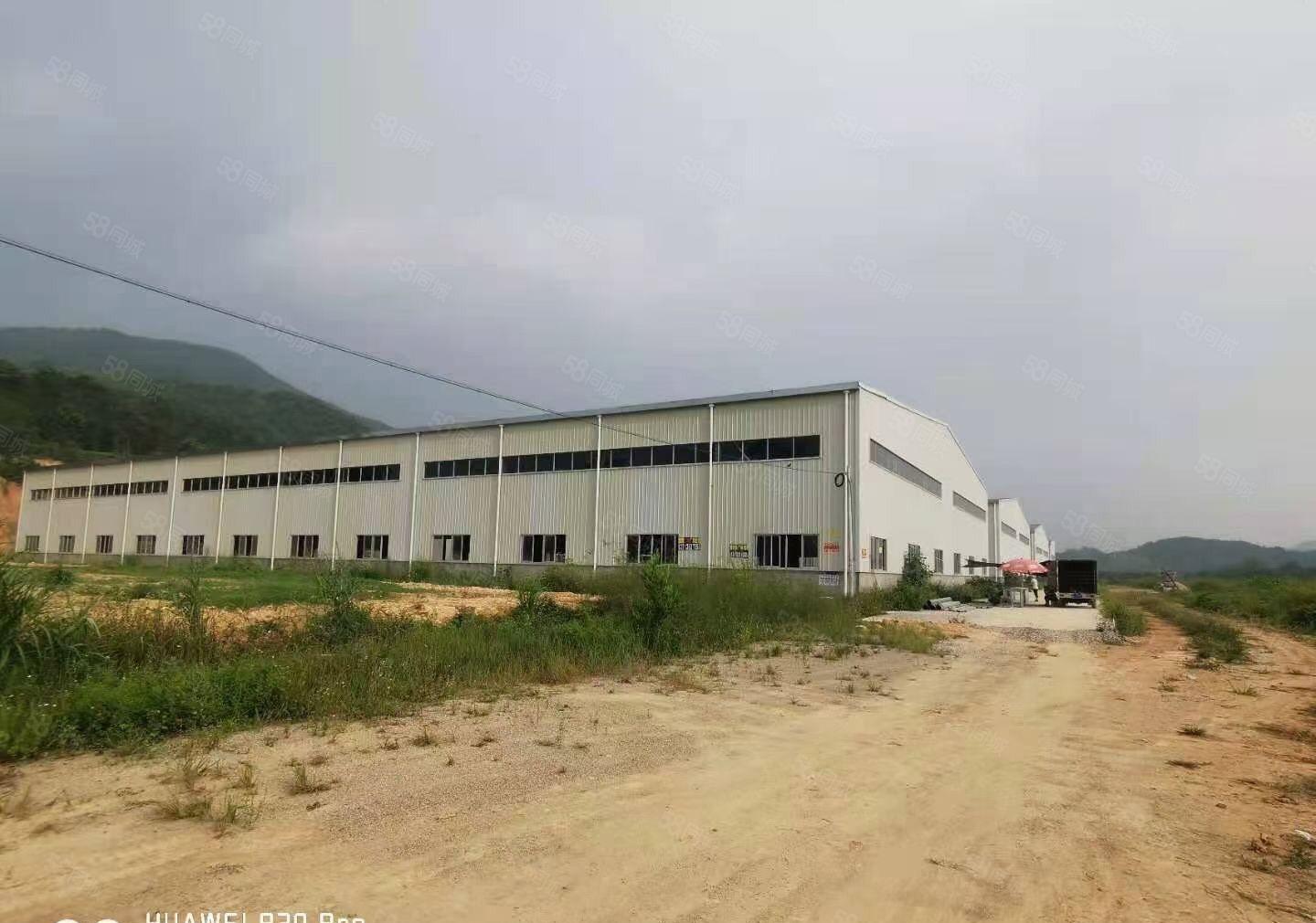 惠东白花原房东单一层独院厂房18000平方可以分租