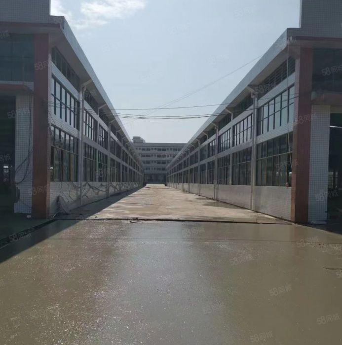 靓惠东独院厂房单层3300平米和4700平米招租