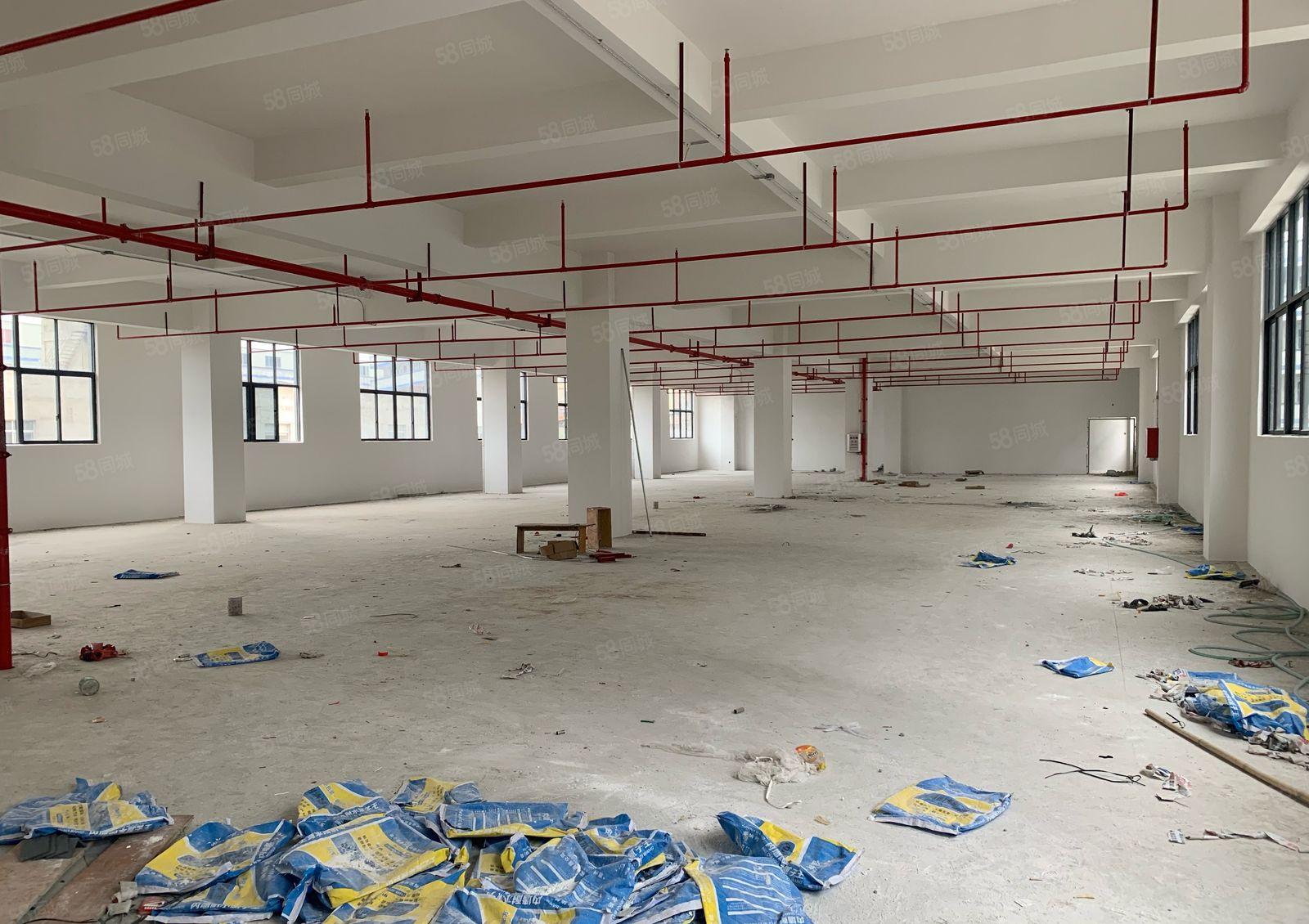 (带货梯)大岭镇鞋材市场厂房600平方出租价格低空地大