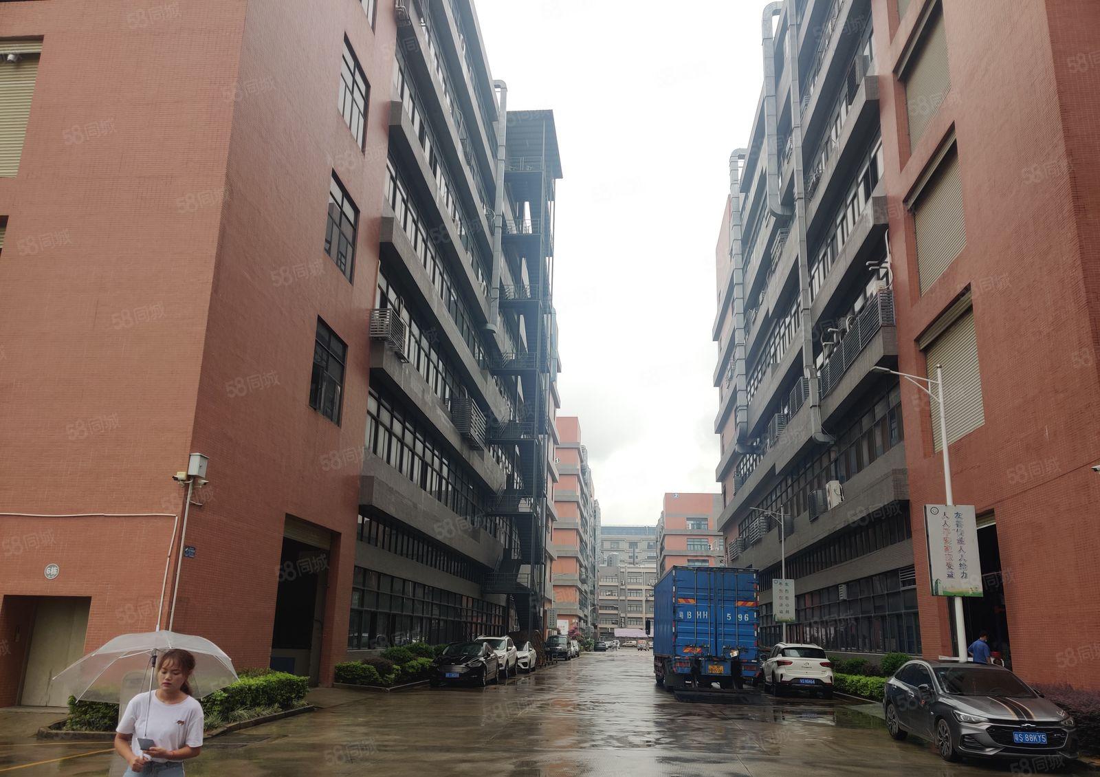 原房东6元白花大岭200平起租无公摊1万平厂房一楼仓库出租