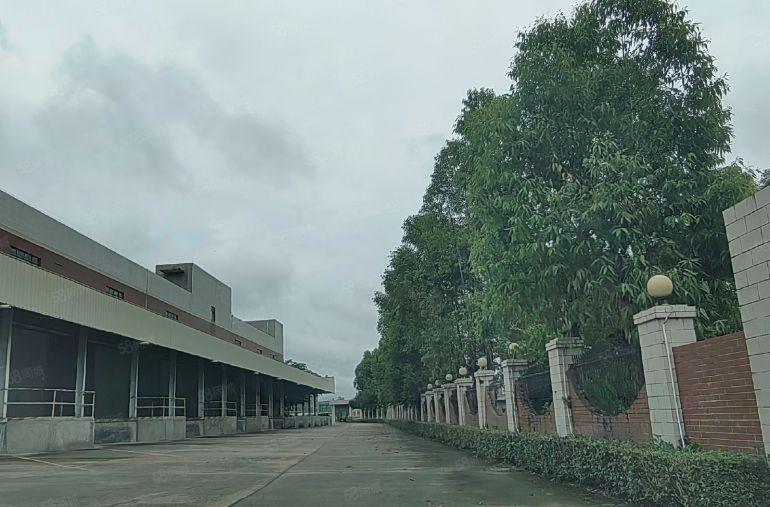 惠东县大岭镇4.5万平方红本单层钢构厂房，5.5万平空地配套