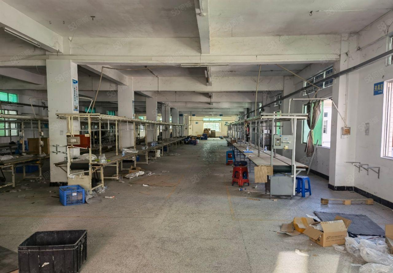 惠东吉隆主干道上整租10每平独门独院标准厂房