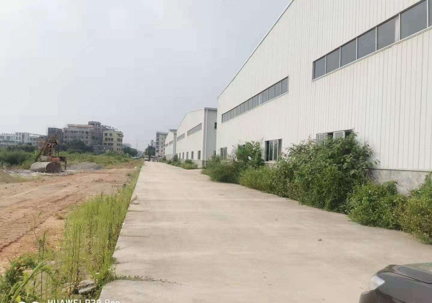 惠东白花原房东单一层独院厂房18000平方可以分租