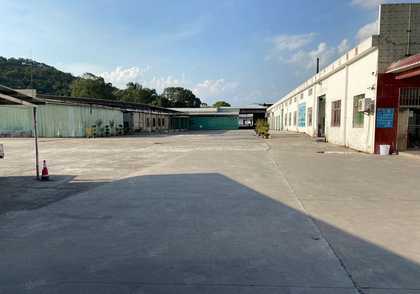 惠东大岭镇繁华地段10000平厂房可分租低价精装修出租