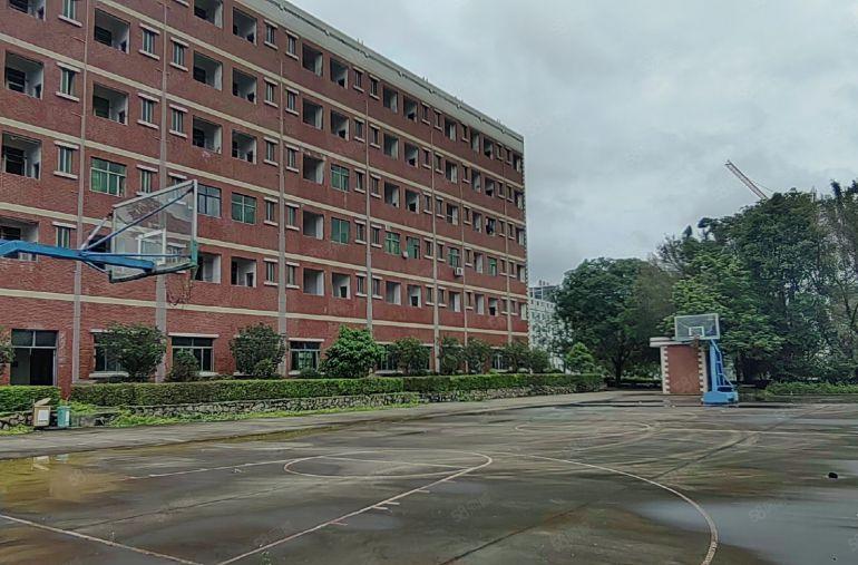 惠东县大岭镇4.5万平方红本单层钢构厂房，5.5万平空地配套