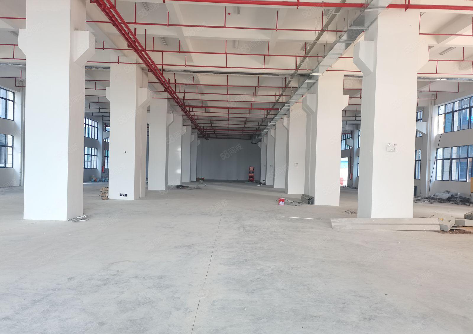 惠州惠东大岭独院厂房8000 平米厂房出租原房东出租可分租