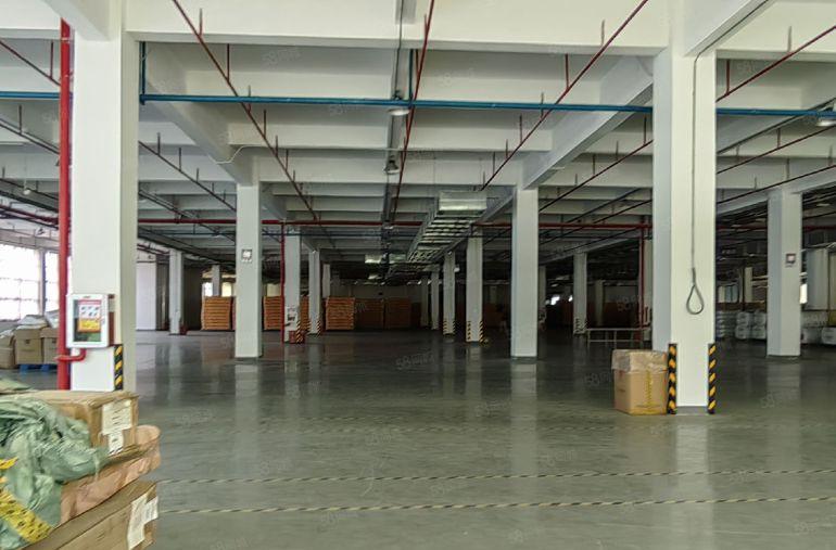 惠东大岭25200平方标准厂房，12600平一层，产证齐全