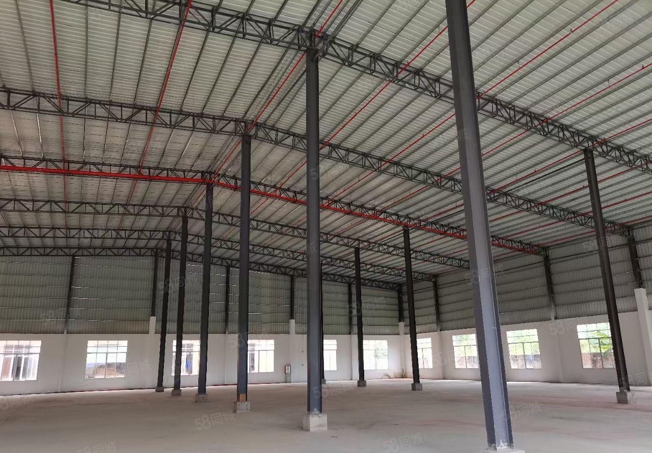 惠东淡水白花镇12米高钢结构独院厂房 消防设备齐全厂房 出租