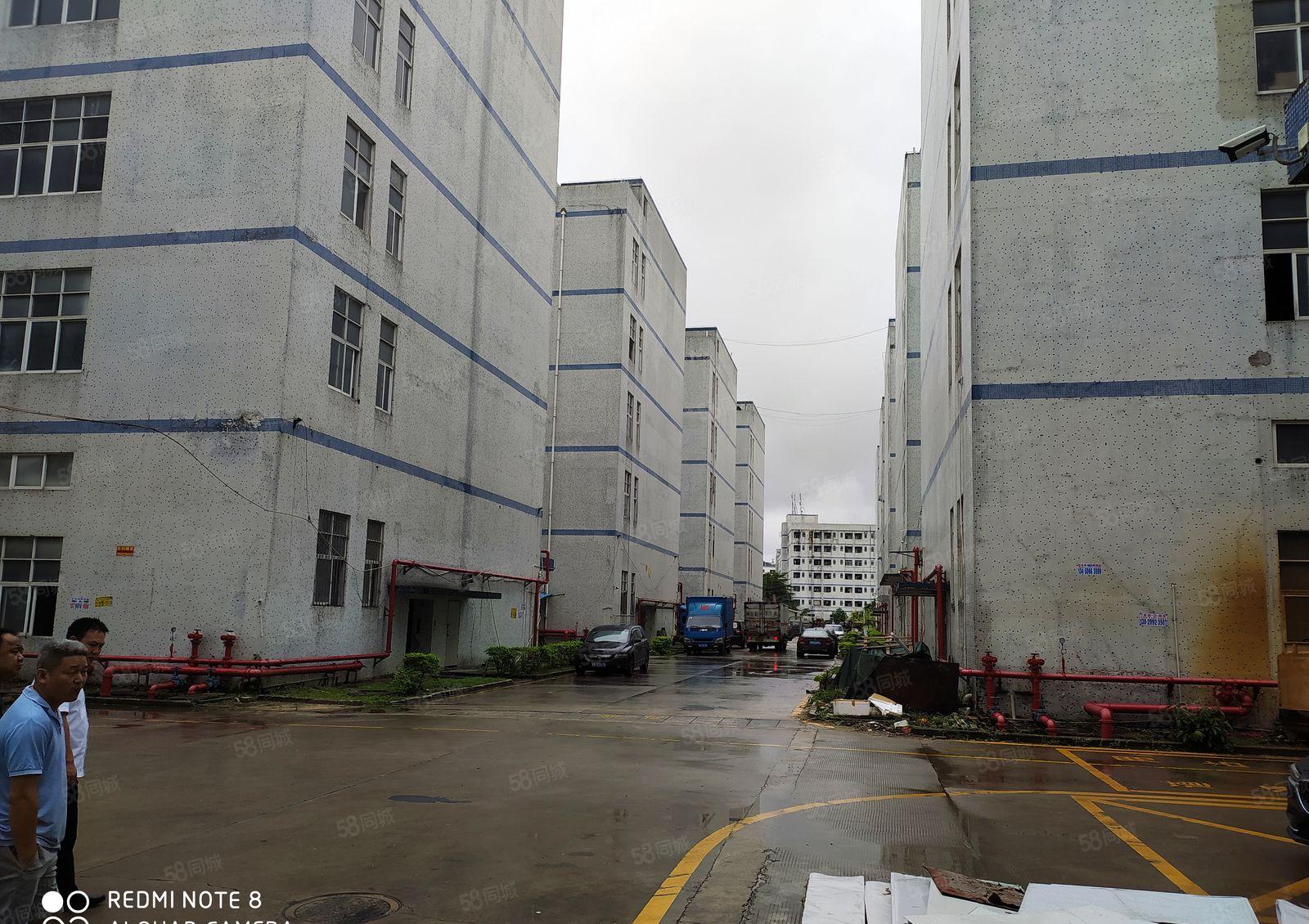 惠州市惠东县红本厂房出租1000起分整租统租可办环评