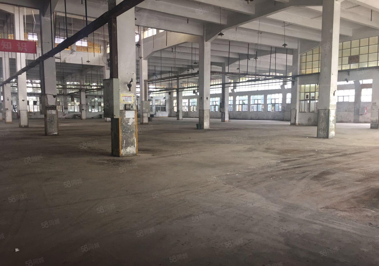 惠州市惠阳区平潭镇9米高钢构厂房出租厂房面积4290平方