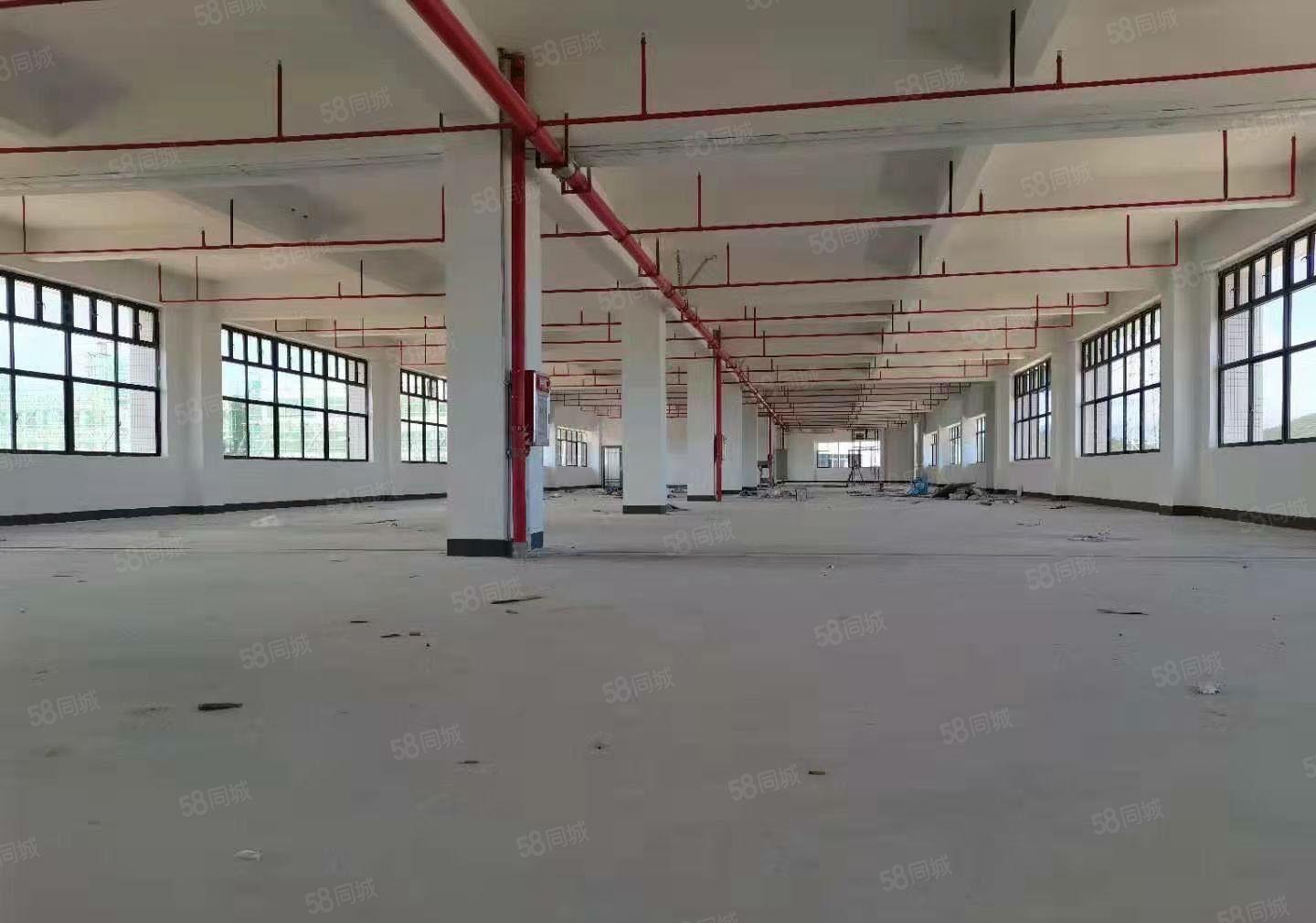 出租惠东大岭平山全新标准厂房，可办环评，有专变，路道大